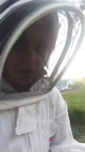 121K views · 1.8K reactions | With an aggressive hive, I take the...