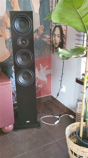 Yamaha AS501 WiiM Ultra Heco Aurora XT 700 #music #hify #audiophile