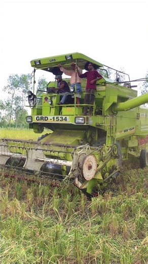 GRD combine #combine #harvestermachine #combinemachine #combineharvester #harvesterwala#tranding