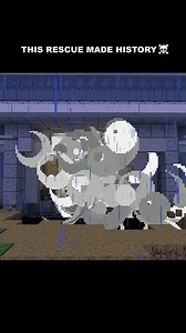 The Craziest Rescue Ever #minecraft #minecraftmemes #minecraftbuilds #minecraftpe #minecraftmods | Parrot Life