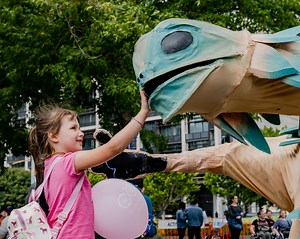 AFL Wheelchair | Disability Sport & Recreation