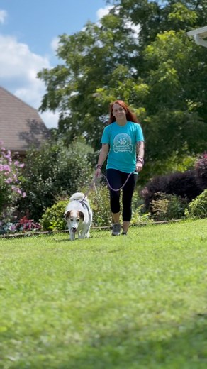 Cady and Stephanie are so excited to be a part of The Splashpaw Foundation, Inc.’s 11th Annual Bark & Brew Red Carpet Runway Show August 24th at 1pm. Get your tickets now and we will see you at the city club at gibson mill! #splashpawfoundation #runwayshow #dogmodel | Irresistible Portraits - by Karen Goforth | Facebook
