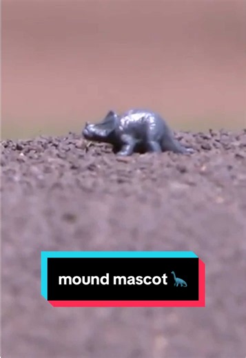 He brings a mini dinosaur named Jerry to the mound with him for every start 🔥 via: @Big Ten Network #mlb #baseball #college #dinosaur