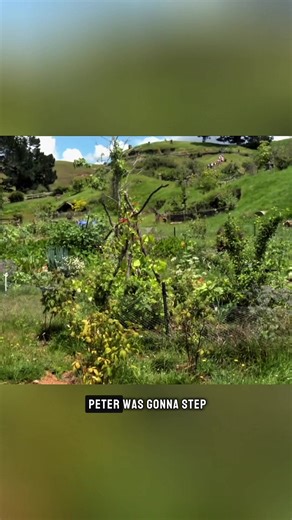 Beginning the production of The Hobbit