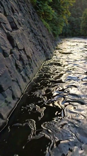 苔に導かれる静寂の小径｜水音に身をゆだねる癒しの森 / A Mossy Path of Silence | Healing Forest Walk with Flowing Water