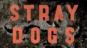 'Stray Dogs' is many things at once: minimal in its narrative content...