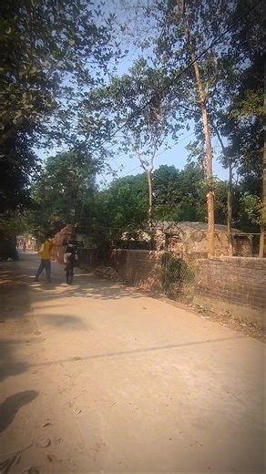 MTB Wheelie on Fire! 😳🔥 Perfect Balance Skills