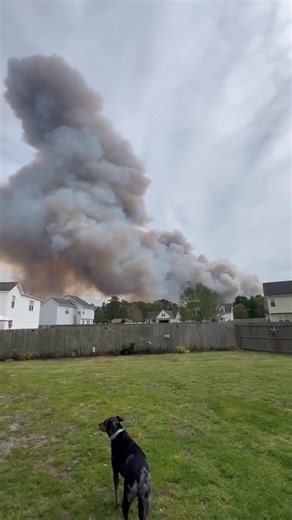 830K views · 4K reactions | 430PM: Update they now say it’s a woods...