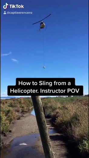 Understanding How Babies Are Made