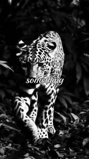 no one has your vision | motivation quotes success inspection life changing motivation #intentional