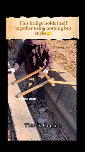 Science | cosmos on Instagram: "What looks impossible at first is actually brilliant engineering. This self-supporting bridge holds together using nothing but wooden sticks—no nails, no rope, no glue. Each stick presses against the others so that weight creates friction and compression, locking the entire structure in place. The more load you add, the stronger it becomes. The design is attributed to Leonardo da Vinci, who understood centuries ago how forces could balance themselves naturally. It