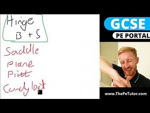 Types of Joints in the Human Body - GCSE PE