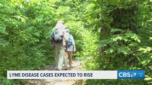 Tick populations rise as Lyme disease cases grow