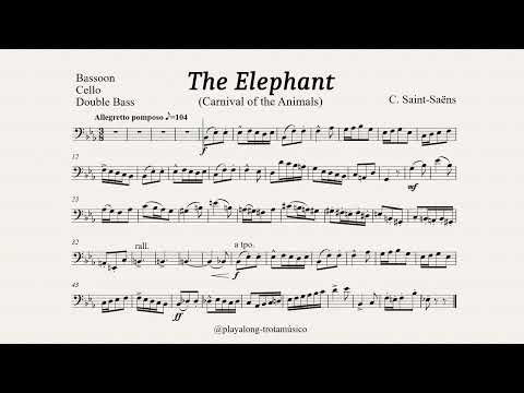 The Elephant (Carnival of the Animals) Playalong Cello Double Bass Bassoon Sheet music accompaniment