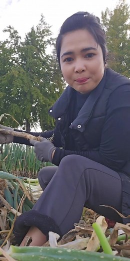 115K views · 1.4K reactions | tuần lấy tiền 1 lần lương sông phẳng ~...