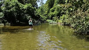 46K views · 2.9K reactions | Bait, tackle, rod and license. Do you have everything? | Tennessee Wildlife Resources Agency | Facebook