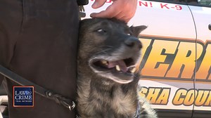 WATCH: Video shows K9 Officer Riggs Thursday at the sentencing for Midwest killing spree suspect Allan Brown, who was convicted of shooting the K9 in a shootout with Kenosha police on October 2021. Brown's sentencing was delayed due to his competency being raised. | Law&Crime