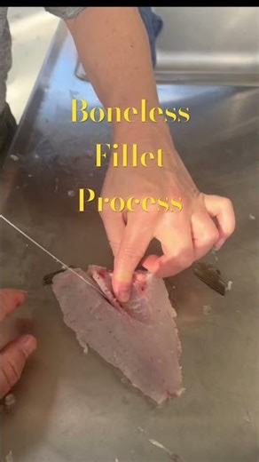 How To Fillet a Mess Of Crappie Fish with Judge Gaudet - The Ribbing Process - Part 3