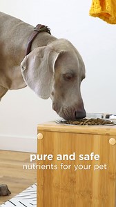 48 reactions · 11 shares | Best friends look out for each other. Take better care of your pet with top quality fish oils for healthy skin & coat.* | Nordic Naturals | Facebook