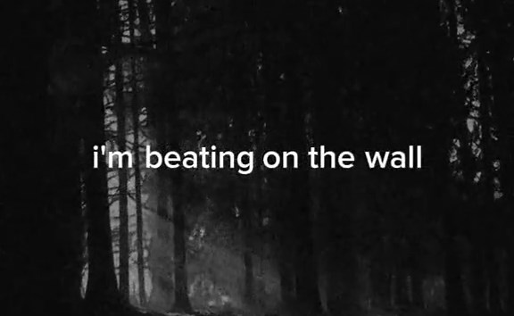 the walkmen - the rat #thewalkmen