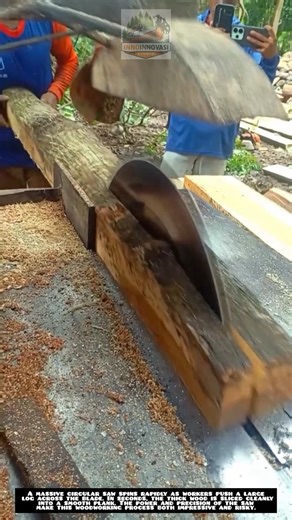 Dangerous Wood Cutting With a Giant Circular Saw 🪚⚠️