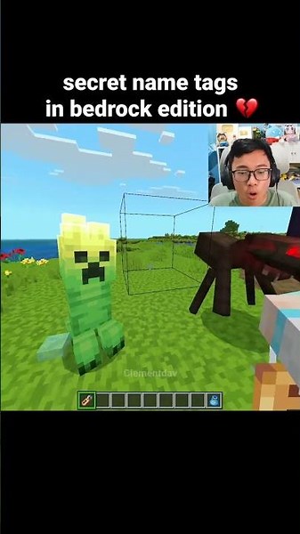 Minecraft Secret Name Tags Moment
