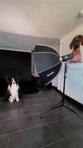 Mit der HS Freeze X-Serie bekommst du ultrastarke Leistung und präzise Blitze für hochprofessionelle Ergebnisse – auch in anspruchsvollsten Shootings.  | Rollei | Facebook