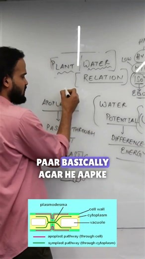 PLANT WATER RELATION Class 12th Chapter-5 #12th #biologyclass12 #boardexam #shorts #short #education