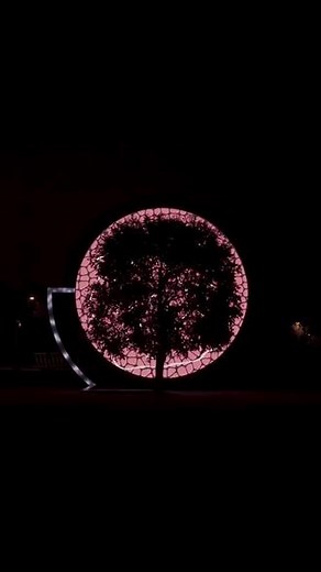 自然与艺术的结合，艺术家Thijs Biersteker#光影艺术 #视觉震撼 #创意