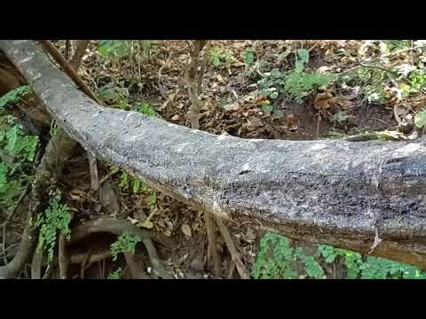 18 de febrero de 2026