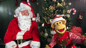 Watch Milkshake Festive Fun: Milkshake Festive Fun - Christmas Wishes! - Full Show on Paramount  United Kingdom