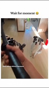 154K views · 2.6K reactions | Wait for moment 嵐 | Watch Memes Without Depression | Facebook