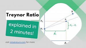 Treynor ratio / Portfolio performance measurement / tutorial