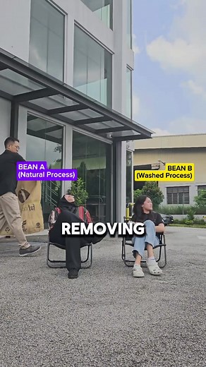 Discover the Difference: Washed Process vs Natural Process Coffee