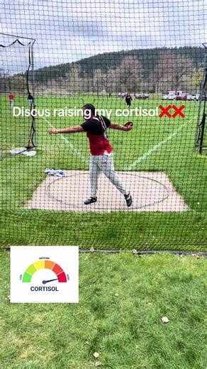 Discus Form Reflections