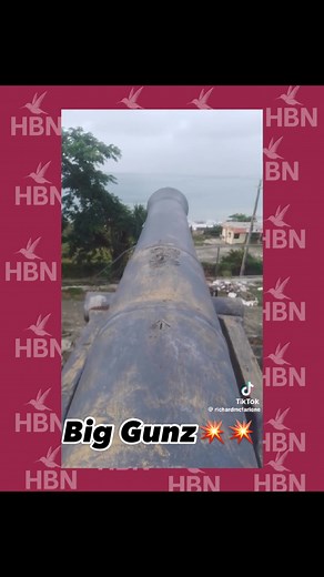 #HBN #HBN #fyp #explore #explorepage #reels #explore✨#Instagram #instagramreels #fypage #jamaica #grenada #funny #lol #guyana #reggae #trinidad #barbados #florida #VI #newyork #timeline #world #lol #viralreels #viralpost #viralvideo #trending #music #dancehall | Humming Bird Network