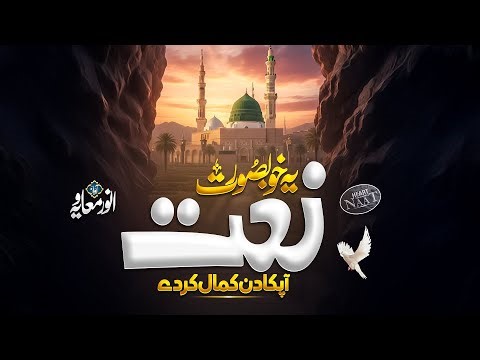 Mera Payara Aqaa Ki Azmat o Touqeer - New Naat Sharif 2026 - Anwar Muavia | Dailly Hamd o Naat