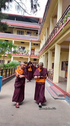 India’s Mini Tibet😳Coorg Golden Temple ⛪ Namdroling Monastery #shorts #tibet #youtubeshorts #coorg