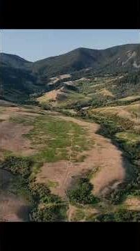 100-Year-Old Barn Secrets: History & Wildlife Revealed! #shorts