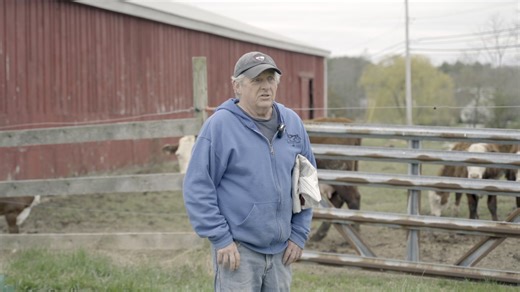 4.2K views · 132 reactions | Ever wondered what happens to our bread...