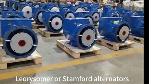 Factory Direct Sale 50HZ 60HZ Single or Three Phase Brushless Leroy Somer LSA 30kw Alternator