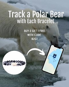 1K views · 304 reactions | Track a POLAR BEAR with this bracelet! Buy two, get one free with code B2G1 and: ‍❄️ Learn your bear's name  Follow them on their arctic adventure with exclusive access to a tracking map ❤️ Support Polar Bears International | Fahlo | Facebook