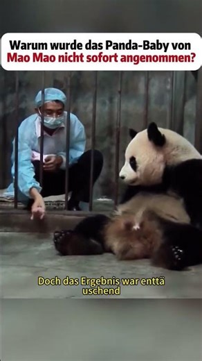 #DIY #repair #modification #build #machines #challenge #experiments #science