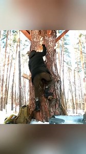 8.5M views · 10K reactions | Tree House Life Cozy Winter overnight in a Tree House with a Stove and Electricity #bushcraft #bushcrafting #shelter #build #building #builder #bushman #buildingahouse #viralvideo #camp #c | Yupy Nino | Facebook