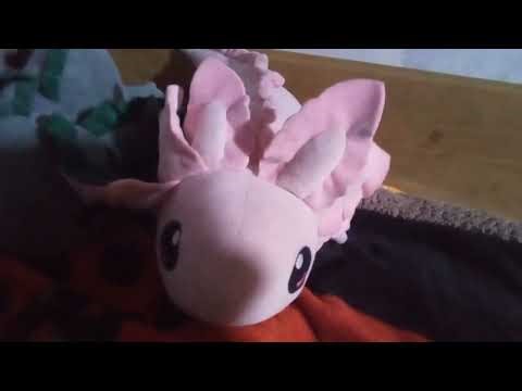 Maxiti vista a Alexiti