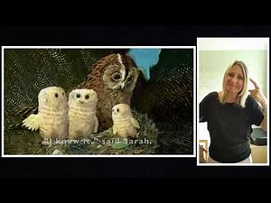 SIGNALONG STORY - Owl Babies.