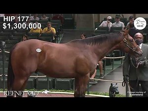 Big Money For Young Horses! | Who Topped The Bill At The 2021 Keeneland Yearling Sale?