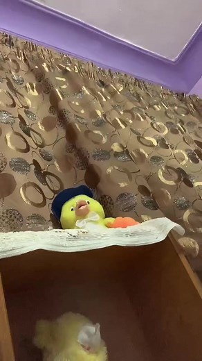 Exploring Flexible Putty: Fun with Elastic Texture