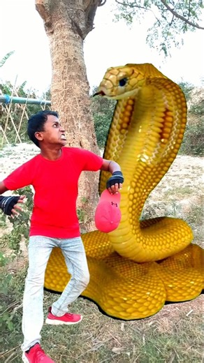 Anaconda snake in real life P218#shorts #short #snake #nagin #python #anaconda #snakes #bigsnake