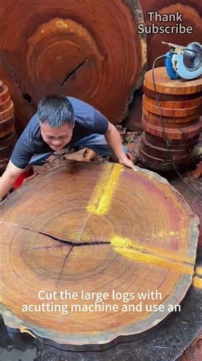 Use a saw to cut the logs into round cutting boards